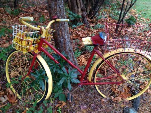 Bike leaning on a tree