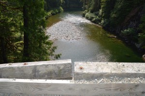 Bridge over the river