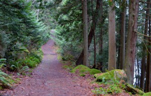 Path at Sandwell Beach