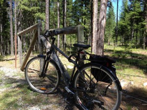 Bike on fence IMG_0337