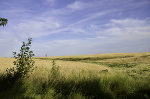 Beatiful prairies and sky